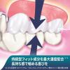 「Haleonジャパン 新ポリグリップ プレミアムプラス 長時間安定＆噛む力EX70g 50032418 1個」の商品サムネイル画像2枚目