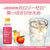 「（お試しセット）ビネガーケア３種セット（乳酸菌＆りんご・セラミド＆ざくろ・GABA＆ヨーグルト500ml）飲むお酢ビネガードリンク」の商品サムネイル画像6枚目