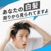 「メンズビゲン ワンプッシュ 白髪染め（6A アッシュブラウン）5個 ヘアカラー ホーユー」の商品サムネイル画像3枚目