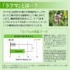 「【アウトレット】ドリエル ナチュラルスリープ（30日分） 1セット（1袋×5） 機能性表示食品 睡眠サプリメント GABA エスエス製薬」の商品サムネイル画像7枚目