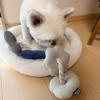 「ぬいぐるみトイ ロープ グレー 犬用 LAKOLE/ラコレ」の商品サムネイル画像2枚目