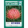「ショウワノート ジャポニカ学習帳 漢字練習帳（かんじ）B5 150字 JL-51 2冊」の商品サムネイル画像2枚目