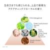 「エスト　クラリファイイング　ジェル　ウォッシュ　MED　リミテッドセットa 花王」の商品サムネイル画像6枚目