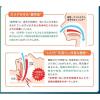 「ブリーズライトスタンダード レギュラー 1個（30枚入） 佐藤製薬（鼻孔拡張テープ・いびき・鼻づまり）」の商品サムネイル画像6枚目