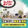 「ゴキッシュ スッ、スゴい！ ハッカの香り 60プッシュ ゴキブリ予防 1個 アース製薬」の商品サムネイル画像7枚目