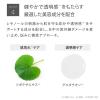 「（セール）レチノミルク 300mL ボディミルク トゥヴェール　高保湿　セラミド ハリ 毛穴 透明感 エイジングケア」の商品サムネイル画像8枚目