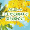「【アウトレット】ロッテ ＡＣＵＯ　ｎｏｔｅ＜香るミモザとシトラス＞ 1セット（20個入）」の商品サムネイル画像3枚目