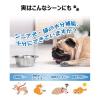 「ペットスエットゼリー 愛犬用 水分補給 低カロリー クランベリープラス 国産（20g×7本入）3袋 ドッグフード 犬 おやつ」の商品サムネイル画像7枚目