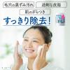 「ビューティクリア パウダーウォッシュN（トライアル） 0.4g×15個 Kanebo（カネボウ）」の商品サムネイル画像3枚目