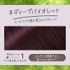 「liese（リーゼ） 泡カラー ディープバイオレット 1セット（2個） 花王」の商品サムネイル画像3枚目
