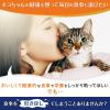 「オールウェル 健康に育つ子猫用 フィッシュ味 1.6kg（小分け 400g×4袋）国産 5袋 キャットフード 猫 ドライ」の商品サムネイル画像3枚目