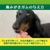 「ペットキッス 食後の歯みがきガム 超小型犬用 国産 90g（約30本）ドッグフード 犬 おやつ 歯磨き」の商品サムネイル画像6枚目