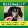 「ペットキッス 食後の歯みがきガム シニア 超小型犬用 国産 20本入 3袋 ドッグフード 犬 おやつ 歯磨き」の商品サムネイル画像7枚目