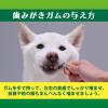 「ペットキッス 食後の歯みがきガム シニア 小型犬用 国産 14本入 3袋 ドッグフード 犬 おやつ 歯磨き」の商品サムネイル画像7枚目
