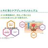 「アットノン ニキビあとケアジェル 10g 2箱セット 小林製薬 ニキビ跡　　医薬部外品」の商品サムネイル画像4枚目