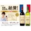 「フランス カステル ブレサック ボルドー ルージュ 2018 赤ワイン　ライトボディ　750ml 1本 サントリー」の商品サムネイル画像3枚目