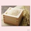 「【アウトレット】クリア(CLEAR) ナチュラルグロス スカルプコンディショナー 詰め替え 300g  1セット（2個：1個×2）　ヘアケア ユニリーバ」の商品サムネイル画像5枚目