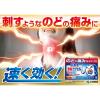 「のどぬ〜る 鎮痛カプセルａ 18カプセル 2箱セット 小林製薬★控除★【指定第2類医薬品】」の商品サムネイル画像2枚目