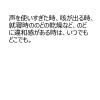 「龍角散ダイレクトスティックミント 16包 6箱セット 龍角散　のどのあれ・不快感に 水なしで服用【第3類医薬品】」の商品サムネイル画像6枚目