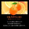 「バブ 至福の柑橘めぐり浴 1セット（12錠入×2箱） 入浴剤 透明タイプ 花王」の商品サムネイル画像6枚目