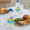 「【強炭酸水】キリンビバレッジ キリンレモン炭酸水 無糖 500ml 1箱（24本入）」の商品サムネイル画像6枚目