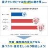 「歯間ブラシ ゴムタイプ 小林製薬のやわらか歯間ブラシ SSS〜Sサイズ 極細タイプ 1セット（20本入×3個）」の商品サムネイル画像3枚目