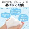「（ニオイ対策セット）LUCIDO ルシード 薬用 シャンプー + ボディソープ メンズ 男 マンダム」の商品サムネイル画像7枚目