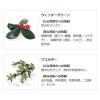 「入浴剤 クナイプ バスソルト グーテエアホールング ウィンターグリーン＆ワコルダーの香り 分包 40g 1セット（2包）クナイプジャパン」の商品サムネイル画像5枚目