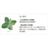 「入浴剤 クナイプ バスソルト ユーカリの香り 分包 40g 1セット（2包）クナイプジャパン」の商品サムネイル画像5枚目