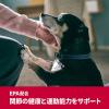 「【ワゴンセール】サイエンスダイエット プロ健康ガード 避妊・去勢後 小型犬  チキン（わけあり品）」の商品サムネイル画像7枚目