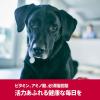 「【ワゴンセール】サイエンスダイエット プロ (SCIENCE DIET PRO) ドッグフード 健康ガード 活力  1歳〜6歳 チキン 3.3kg（わけあり品）」の商品サムネイル画像7枚目