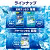 「アイスノン 極冷え洗顔シート 1個（20枚×2パック入） 白元アース 冷却用品」の商品サムネイル画像8枚目
