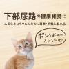 「ピュアクリスタル お皿にPON 軟水 猫用 30日 1個 ジェックス」の商品サムネイル画像3枚目