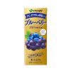 「伊藤園 ブルーベリー ぶどうミックス エコパック (紙パック) 200ml 1セット（48本）」の商品サムネイル画像2枚目