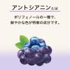 「伊藤園 ブルーベリー ぶどうミックス エコパック (紙パック) 200ml 1セット（48本）」の商品サムネイル画像4枚目