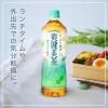 「（セール）（ブレンド茶）ノンカフェイン 爽健美茶 ラベルレス 600ml 1箱（24本入）」の商品サムネイル画像7枚目