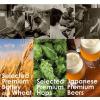 「【ワゴンセール】ビール 有機農法ビール 350ml×6本 ピルスナー 缶ビール」の商品サムネイル画像2枚目