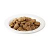 「【ワゴンセール】アイムス キャットフード 成猫用 毛玉ケア チキン 1.5kg（375g×小分け4袋）マース（わけあり品）」の商品サムネイル画像2枚目