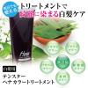 「テンスター ヘナカラートリートメント アッシュダークブラウン 250g 三宝」の商品サムネイル画像4枚目