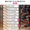「メイベリン ファッションブロウ パウダーインペンシル N BK-1 自然な黒」の商品サムネイル画像7枚目