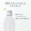 「【アスクル・ロハコ限定】伊藤園 香り豊かなお茶 緑茶 265ml ラベルレス 1箱（30本入） オリジナル」の商品サムネイル画像10枚目