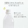「復活特別価格 【アスクル・ロハコ限定】伊藤園 香り豊かなお茶 緑茶 500ml ラベルレス 1箱（24本入） オリジナル」の商品サムネイル画像8枚目