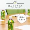 「【アスクル・ロハコ限定】伊藤園 香り豊かなお茶 緑茶 265ml 1箱（30本入）（イチオシ） オリジナル」の商品サムネイル画像6枚目