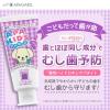 「歯磨き粉 子供用 アパガード アパキッズ ペーストタイプ 低発泡 グレープ 60g 1セット（2本）虫歯予防 サンギ」の商品サムネイル画像2枚目