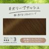 「liese（リーゼ） 泡カラー オリーブアッシュ 2個 花王」の商品サムネイル画像3枚目