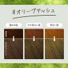 「liese（リーゼ） 泡カラー オリーブアッシュ 4個 花王」の商品サムネイル画像4枚目