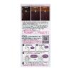「liese（リーゼ） 泡カラー ディープバイオレット 4個 花王」の商品サムネイル画像2枚目