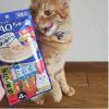 「いなば CIAO チャオ ちゅーる 猫 まぐろ＆帆立貝柱 国産（14g×4本）10袋 ちゅ〜る キャットフード 猫用 おやつ」の商品サムネイル画像3枚目