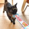 「いなば CIAO チャオ ちゅーる 猫 まぐろ＆タラバガニ 国産（14g×4本）10袋 ちゅ〜る キャットフード 猫用 おやつ」の商品サムネイル画像5枚目