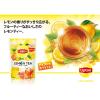 「リプトン レモンティーパウダー 1袋（400g）」の商品サムネイル画像2枚目